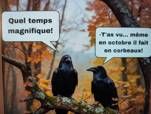 L'automne...  c'est beau !